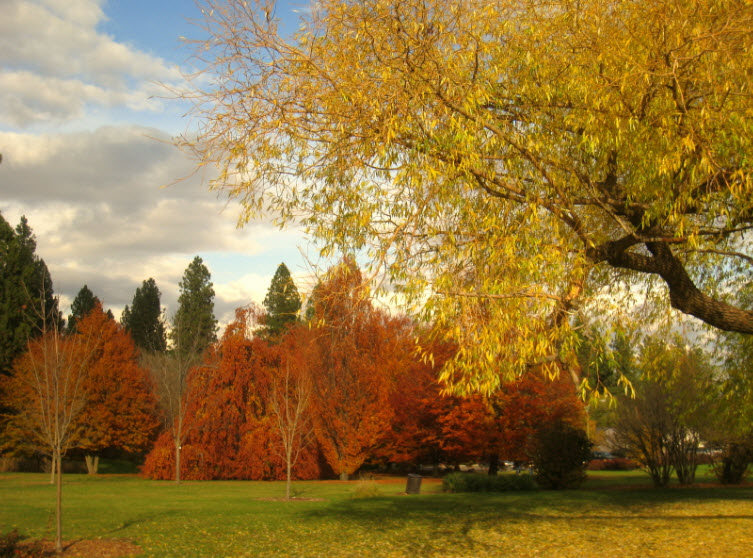 John A. Finch Arboretum, United States